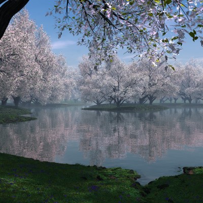 1920 x 1080 HD Wallpapers 2409